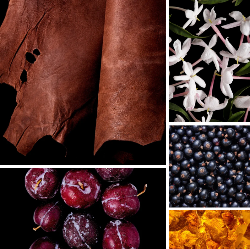 Aigner In Leather Femme EdT 75ml